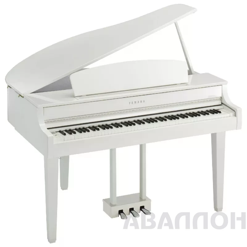 Увеличенное изображение 2