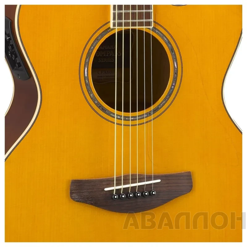 Увеличенное изображение 3