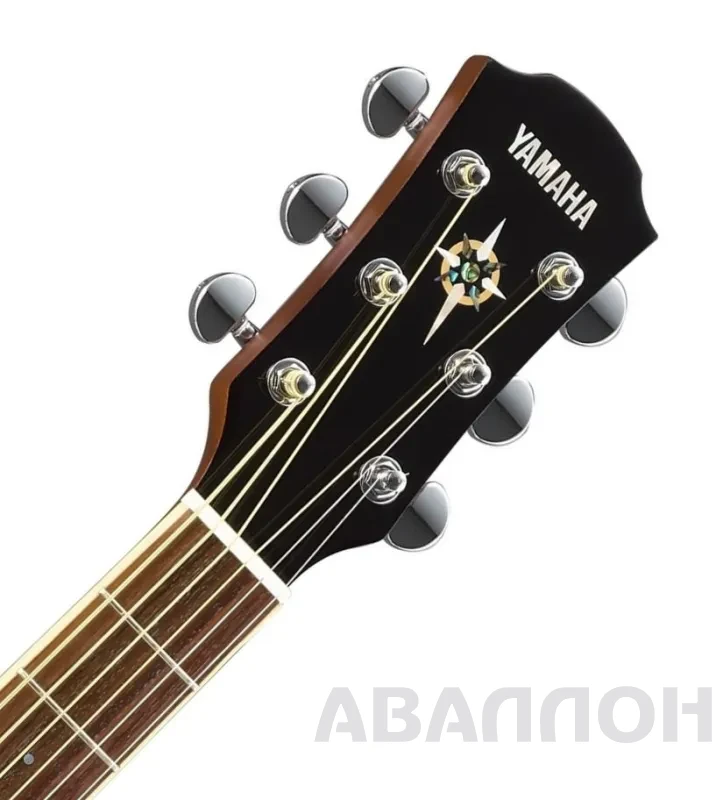 Увеличенное изображение 5