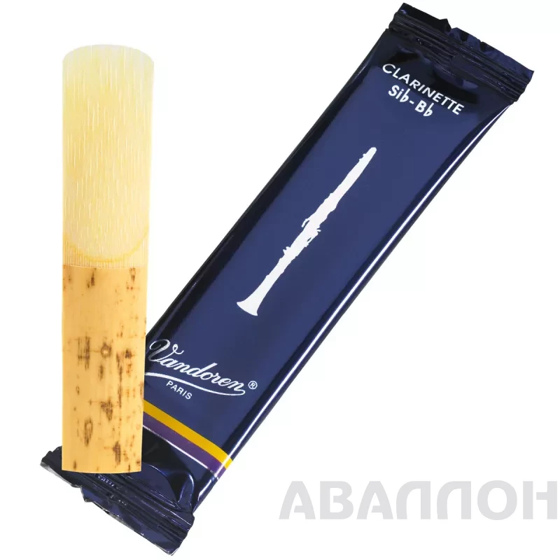 Увеличенное изображение 2