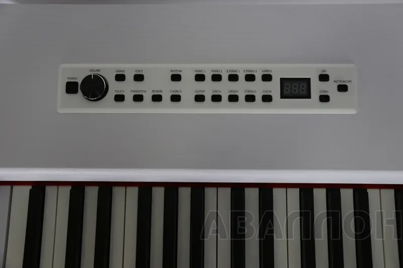 Увеличенное изображение 3