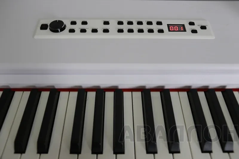 Увеличенное изображение 4