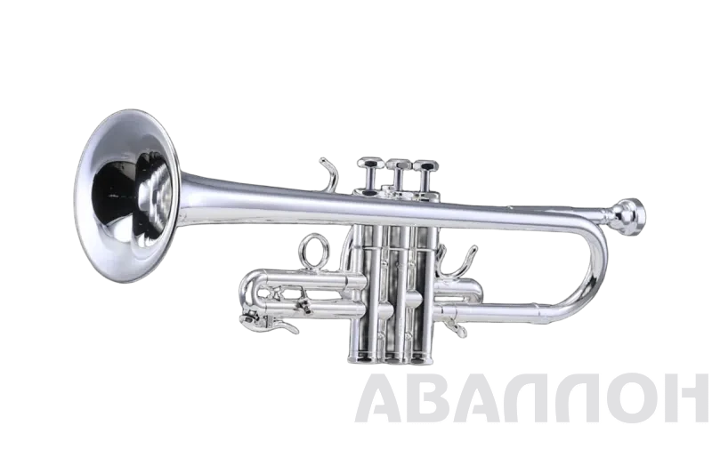 Увеличенное изображение 2