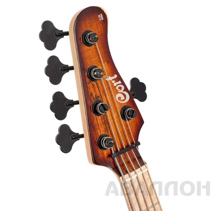 Увеличенное изображение 3