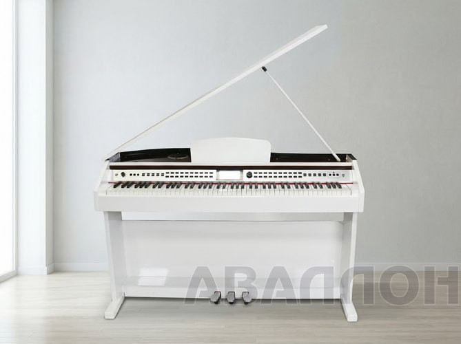 Увеличенное изображение 11