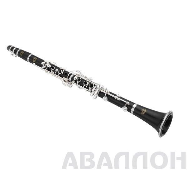Увеличенное изображение 2