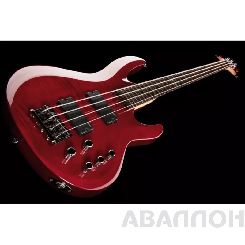 Увеличенное изображение 5