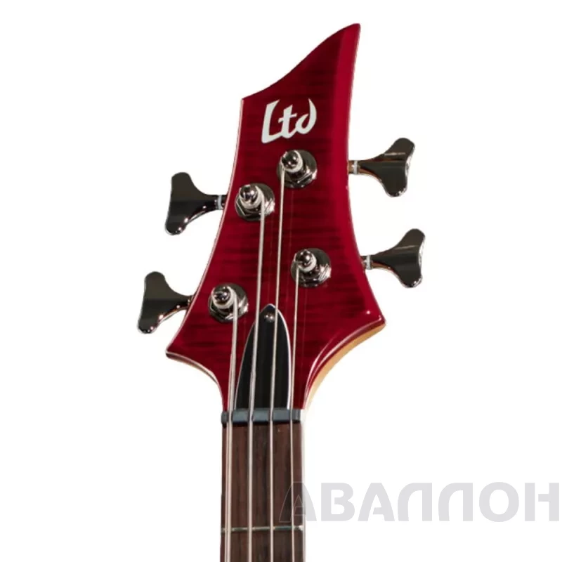 Увеличенное изображение 10