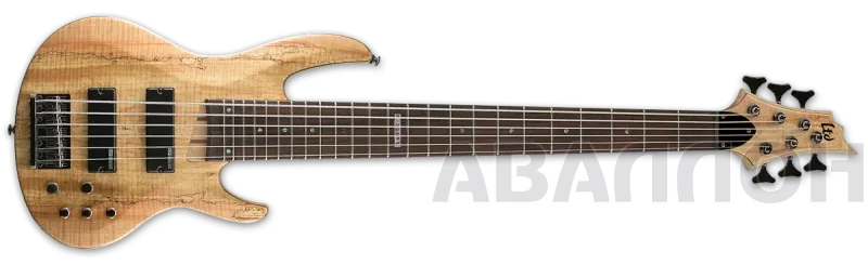 Увеличенное изображение 2