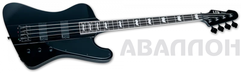 Увеличенное изображение 2