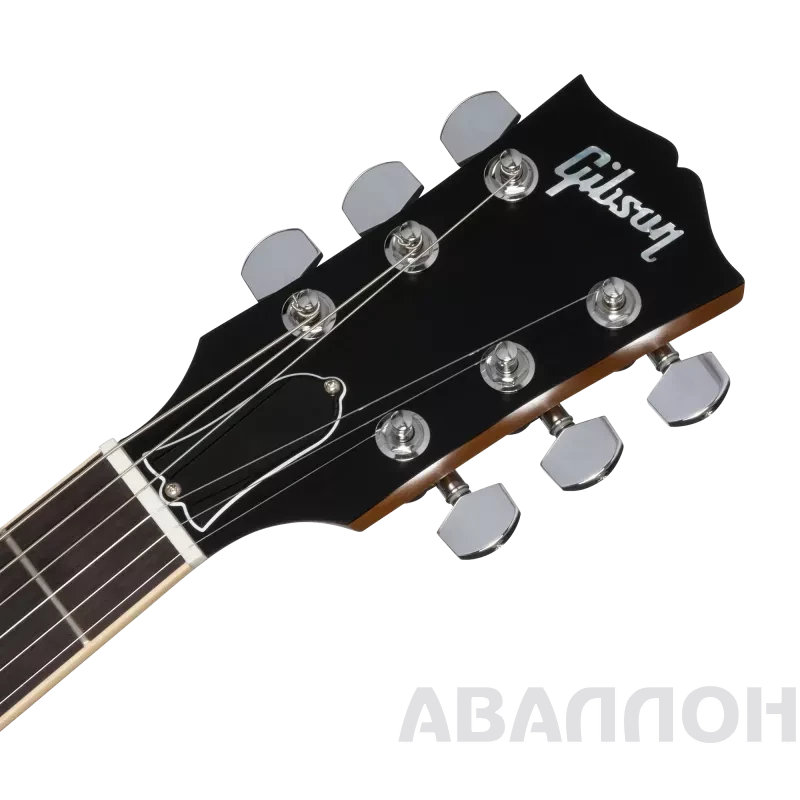 Увеличенное изображение 5