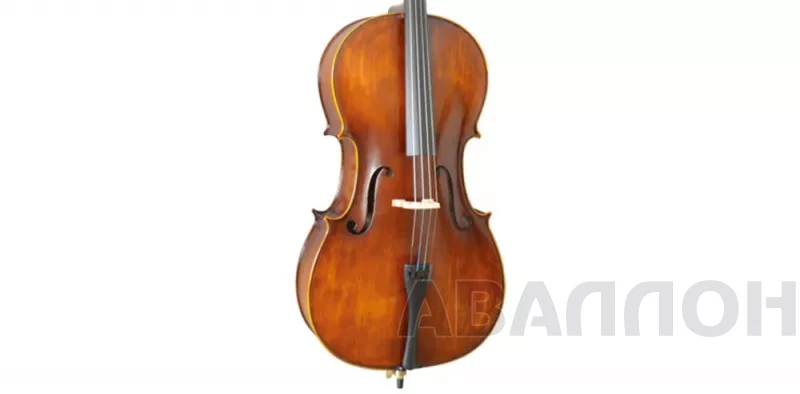 Увеличенное изображение 8