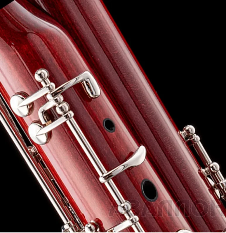 Увеличенное изображение 2