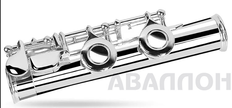 Увеличенное изображение 2