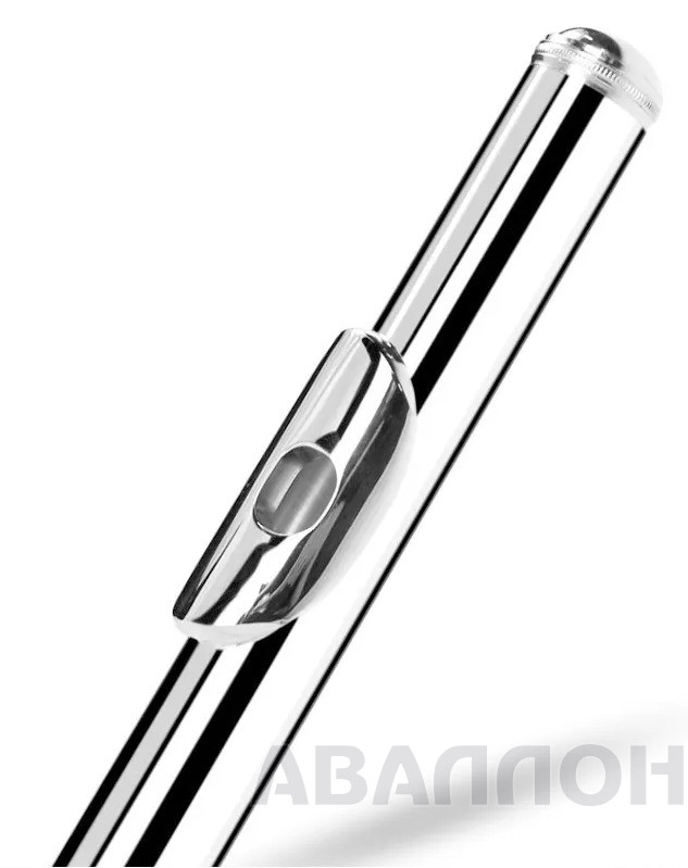 Увеличенное изображение 4