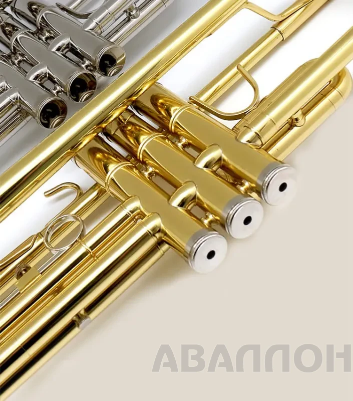 Увеличенное изображение 3