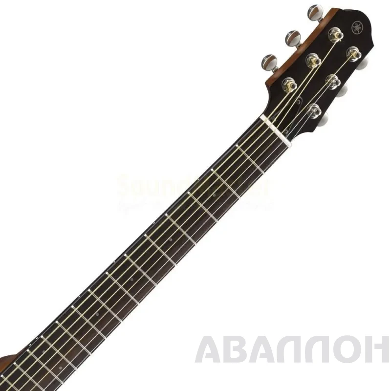 Увеличенное изображение 5