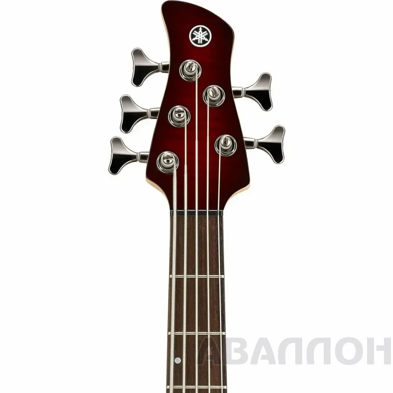 Увеличенное изображение 4