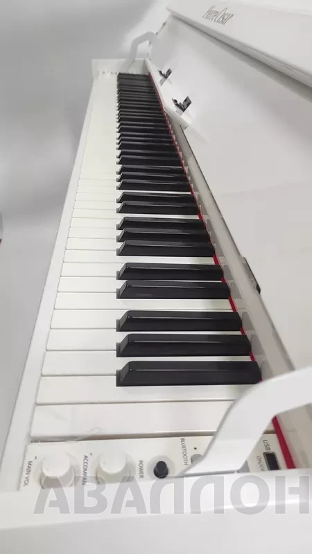 Увеличенное изображение 4