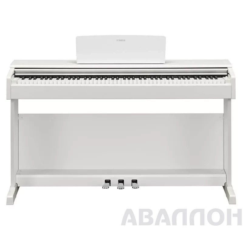 Увеличенное изображение 4