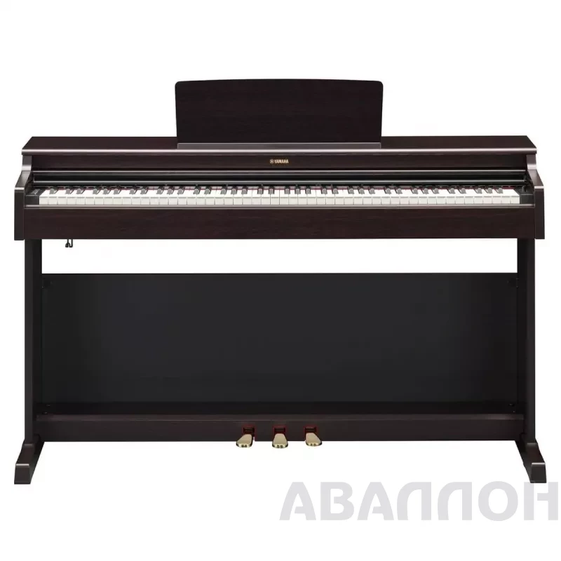 Увеличенное изображение 2