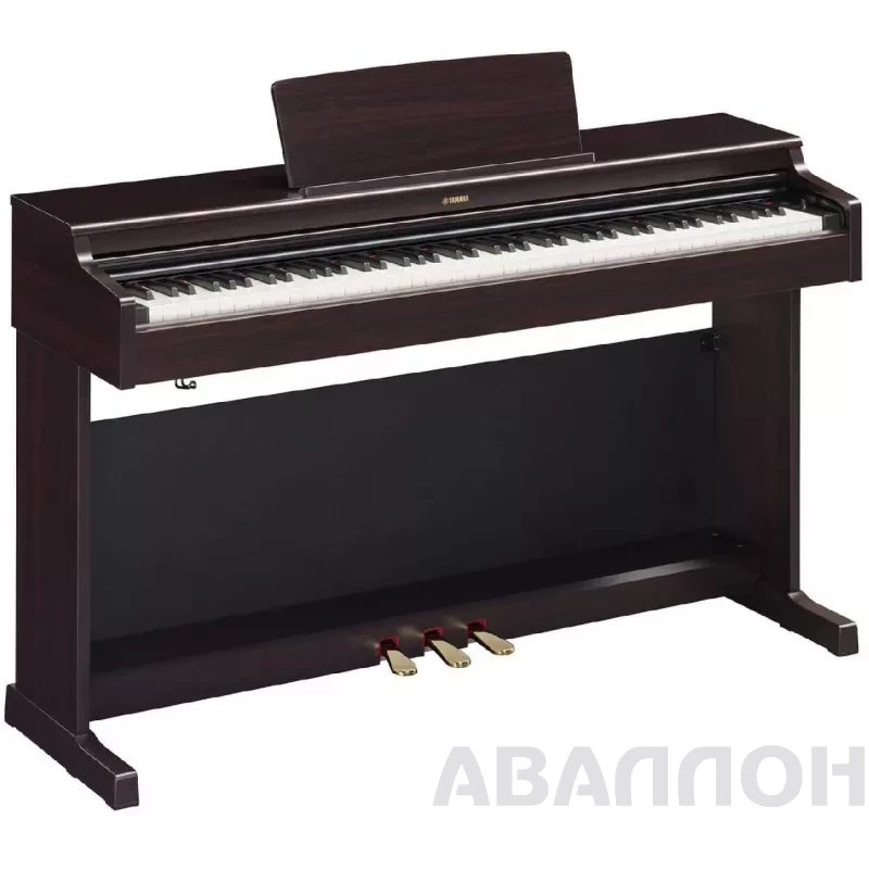 Увеличенное изображение 3