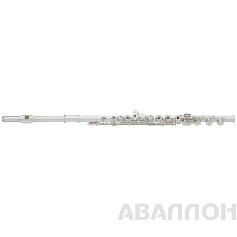 Увеличенное изображение 2