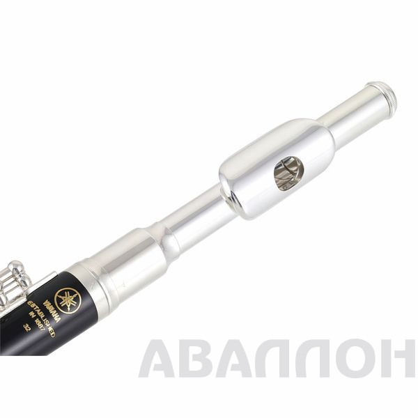 Увеличенное изображение 4