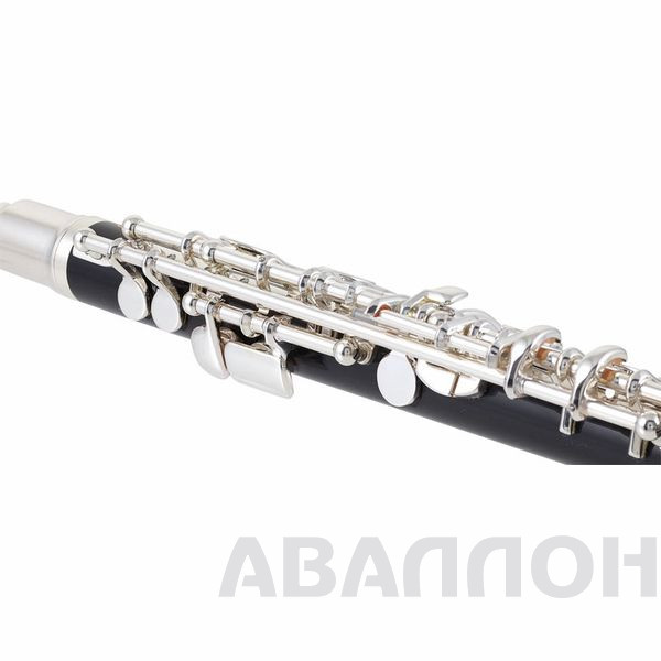 Увеличенное изображение 5