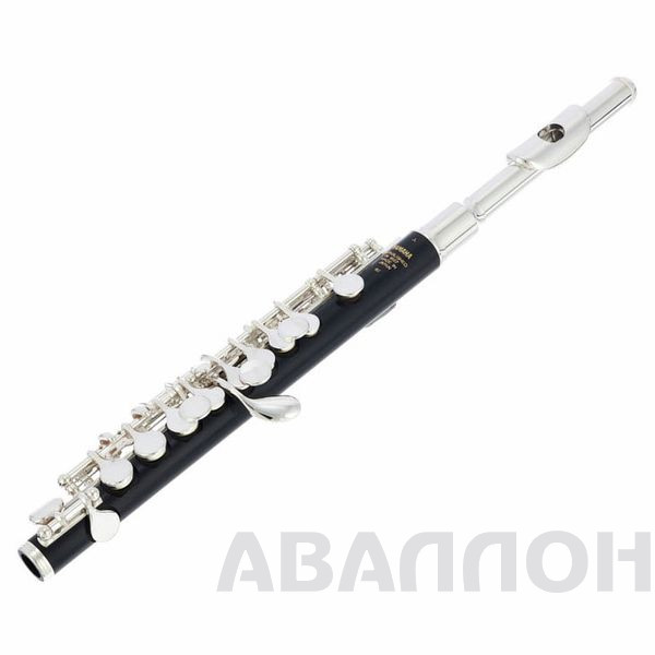 Увеличенное изображение 2
