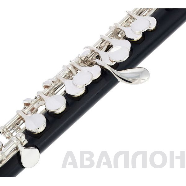 Увеличенное изображение 5