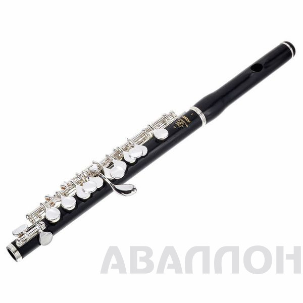 Увеличенное изображение 3