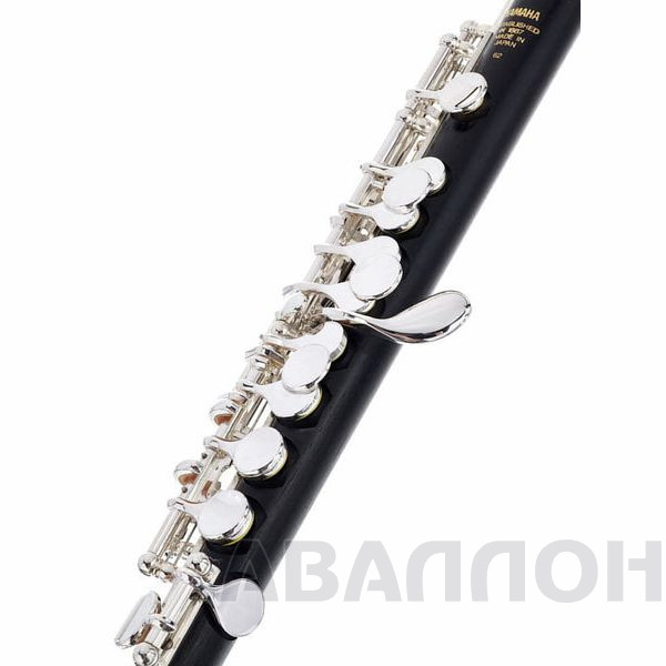 Увеличенное изображение 5