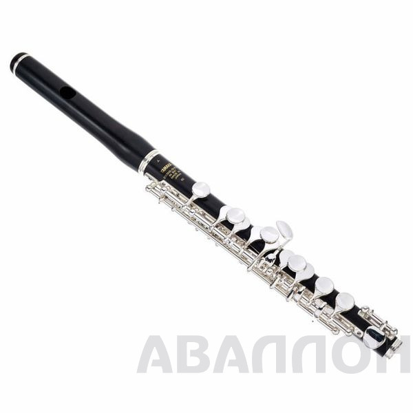 Увеличенное изображение 4