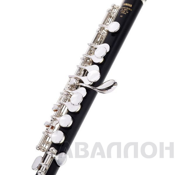 Увеличенное изображение 5