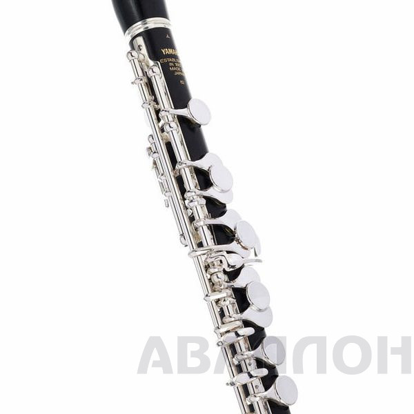 Увеличенное изображение 6