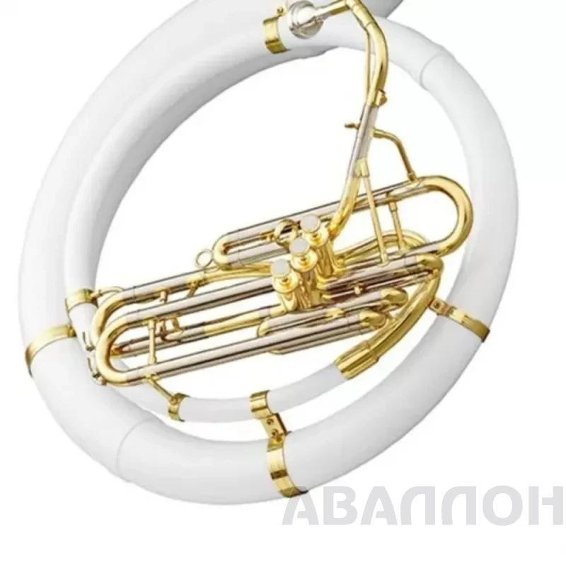 Увеличенное изображение 3