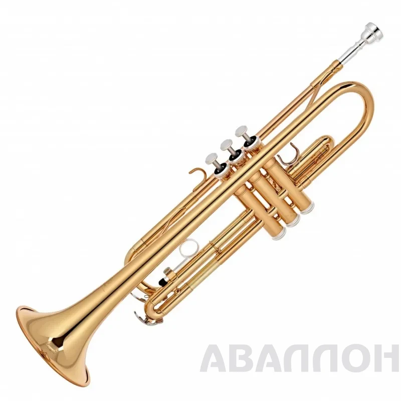 Увеличенное изображение 3