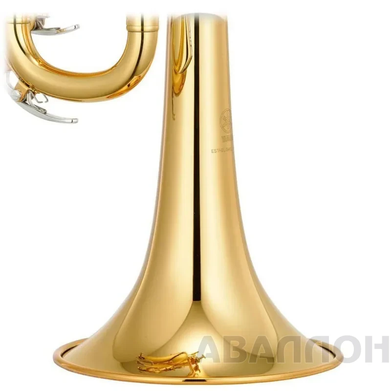 Увеличенное изображение 10