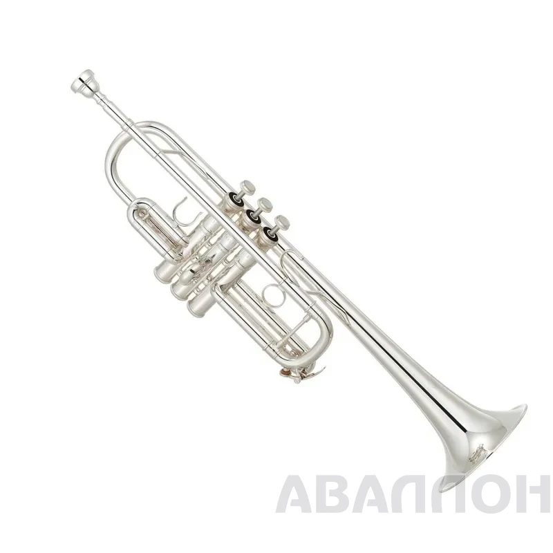 Увеличенное изображение 2