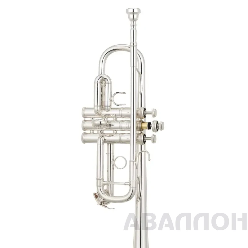 Увеличенное изображение 4
