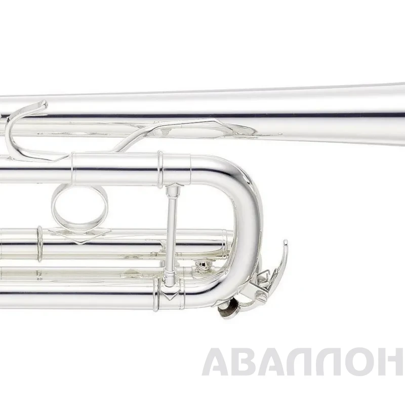 Увеличенное изображение 7