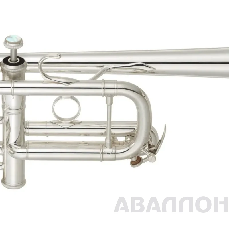 Увеличенное изображение 4