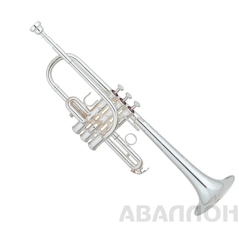 Увеличенное изображение 2