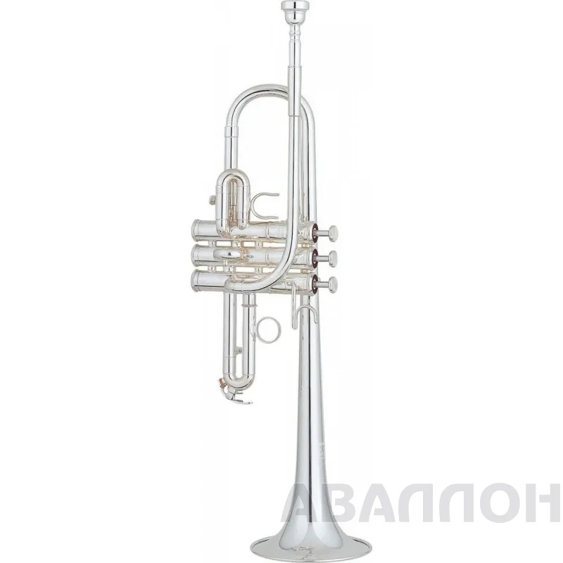 Увеличенное изображение 3