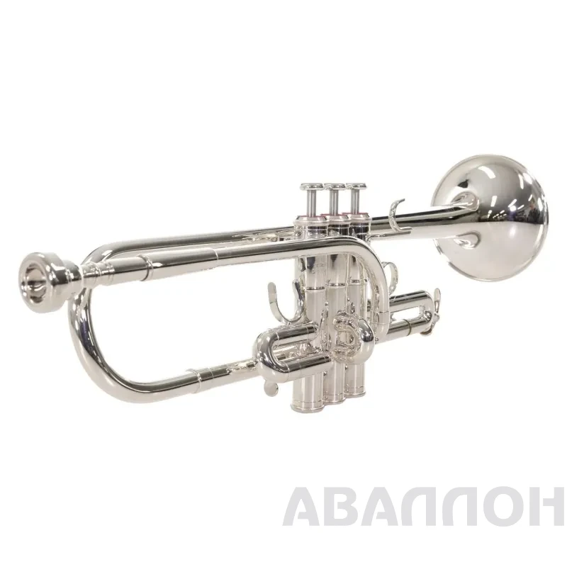 Увеличенное изображение 4
