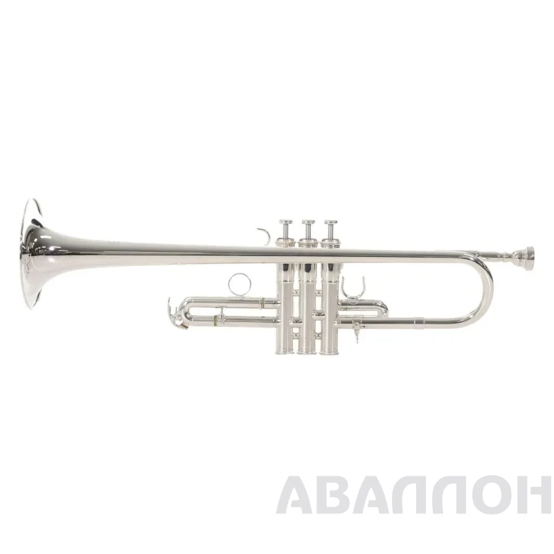 Увеличенное изображение 5