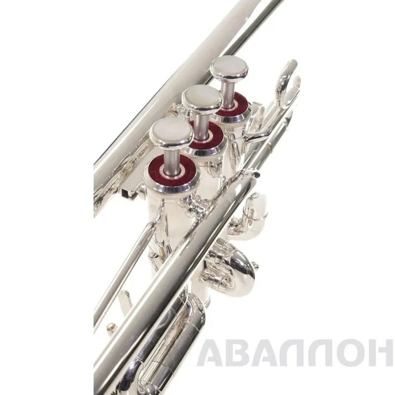 Увеличенное изображение 6