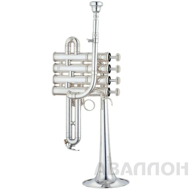 Увеличенное изображение 3