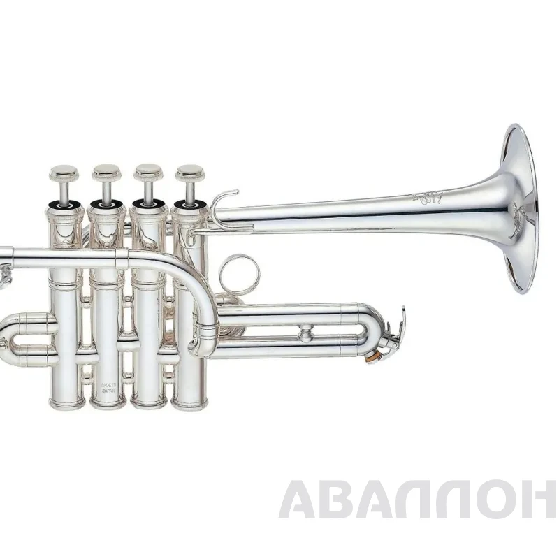 Увеличенное изображение 6